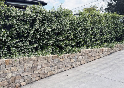 Baulkham Hills landscaping job (50)