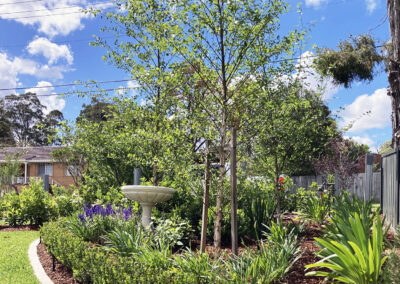 Baulkham Hills renovation and extension (32)