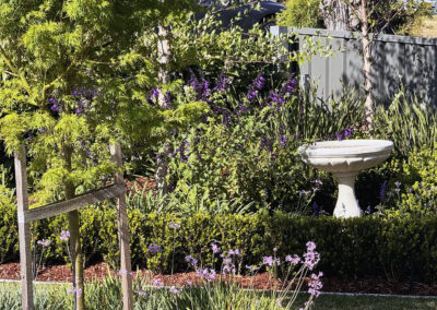 Baulkham Hills renovation and extension (90)