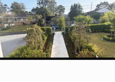 Baulkham Hills renovation and extension (99)
