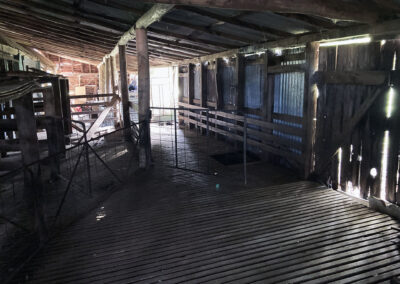 Bungonnia shearing shed repairs (10)