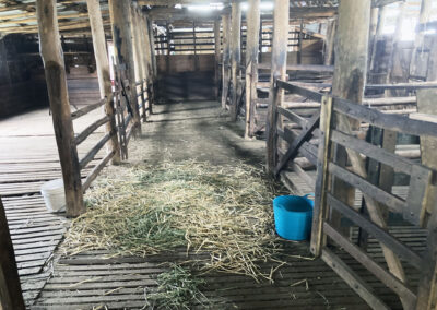 Bungonnia shearing shed repairs (13)