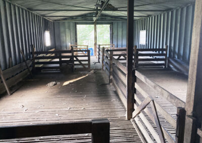 Bungonnia shearing shed repairs (16)