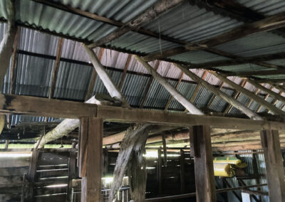 Bungonnia shearing shed repairs (23)