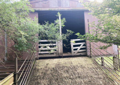 Bungonnia shearing shed repairs (24)