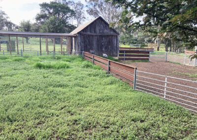 Bungonnia shearing shed repairs (25)