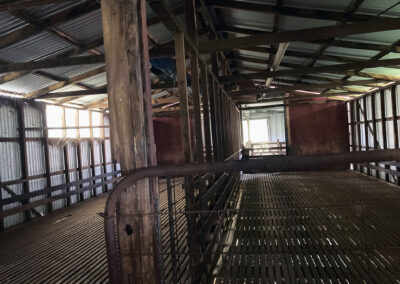 Bungonnia shearing shed repairs (28)