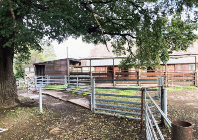 Bungonnia shearing shed repairs (29)