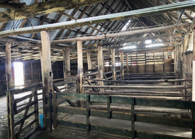 Bungonnia shearing shed repairs (3)