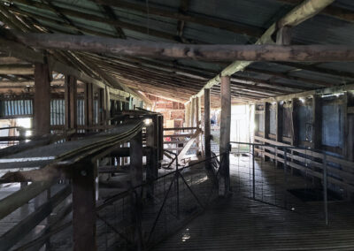 Bungonnia shearing shed repairs (30)