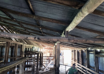 Bungonnia shearing shed repairs (31)