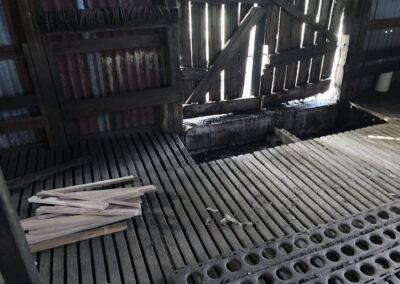 Bungonnia shearing shed repairs (35)