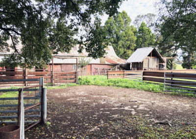 Bungonnia shearing shed repairs (36)