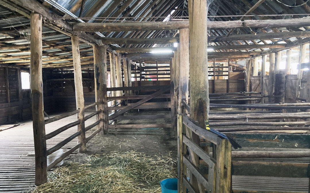 Bungonia Shearing Shed Repairs