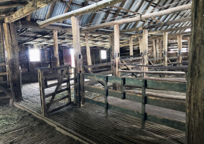Bungonnia shearing shed repairs (6)
