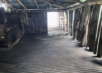 Bungonnia shearing shed repairs (7)