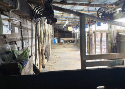 Bungonnia shearing shed repairs (8)