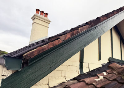 Coogee roof and cladding repairs (1)