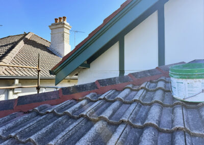 Coogee roof and cladding repairs (10)