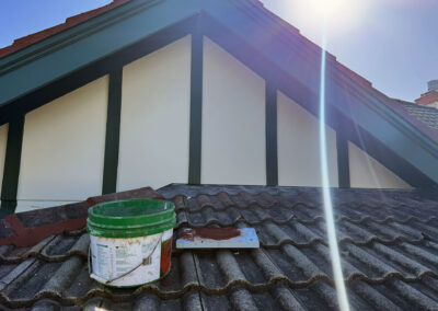 Coogee roof and cladding repairs (11)