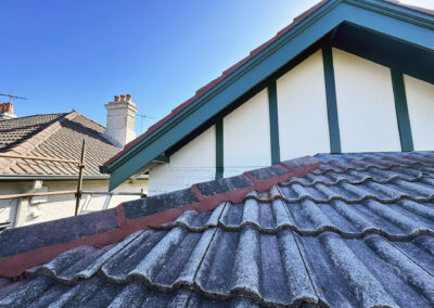 Coogee roof and cladding repairs (13)