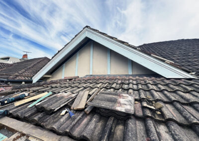 Coogee roof and cladding repairs (8)