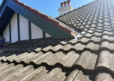 Coogee roof and cladding repairs (9)