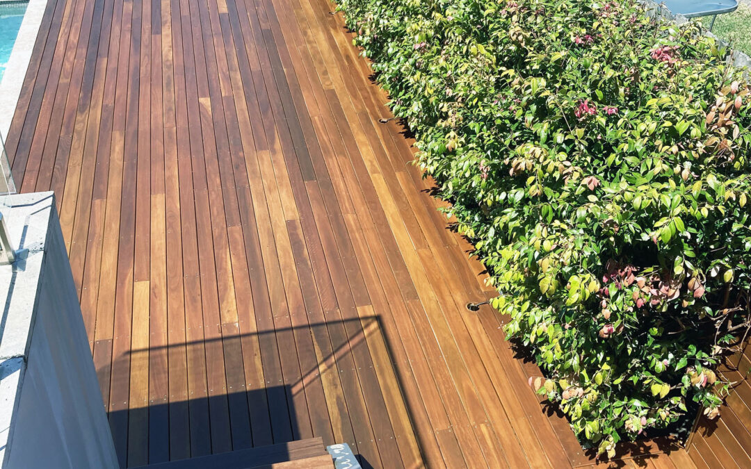 Dee Why Pool Deck