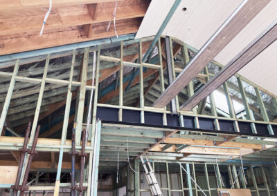 Lane Cove extension (7)