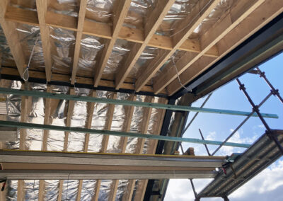 Lane Cove extension (8)