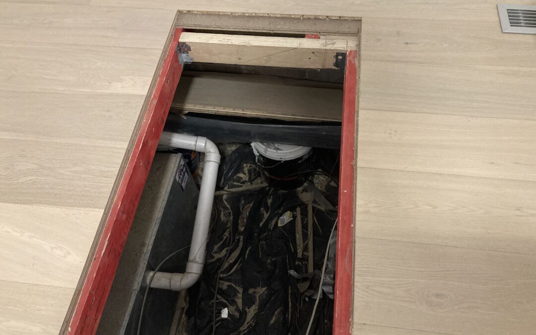 Waverley Flooring Upgrade