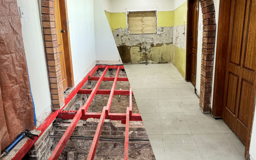 Ashbury Termite Repairs